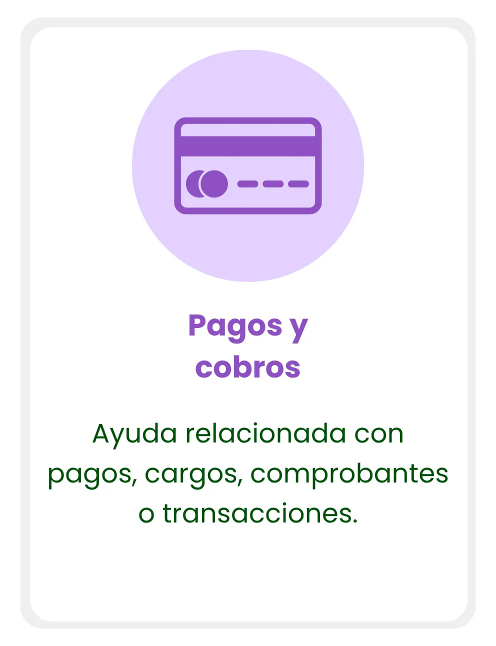 b pagos